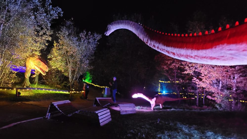 Beleuchtete Dinosaurier bei Nacht im Dino Park