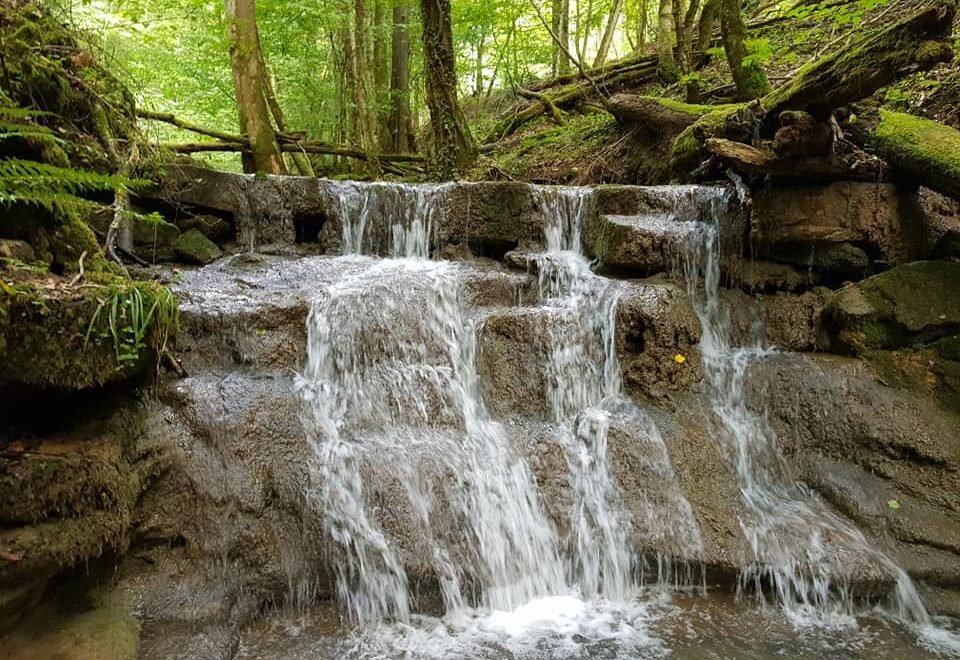 Kleiner Wasserfall über Felsstufen im Wald
